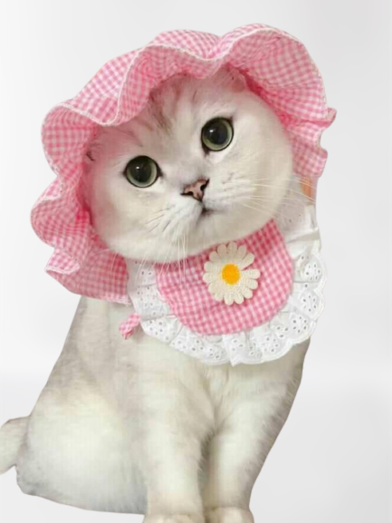 Combo gatuno ideal gatitos/ Ropa gatos incluye gorro y bandana – Pecheritas