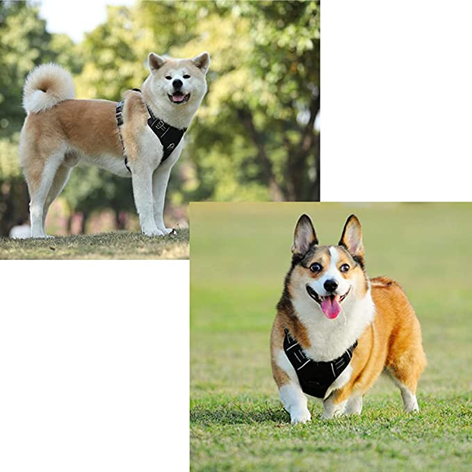 03F58F64-D700-47B2-A1FE-41A4649325D0