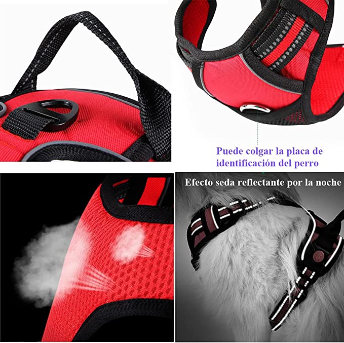 0DFB0EA7-63D2-4B07-A57F-F70291E4A24E