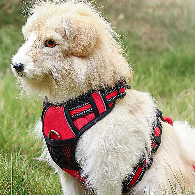 433F636C-D1A0-4A49-9FEB-CDD1CCCE824B