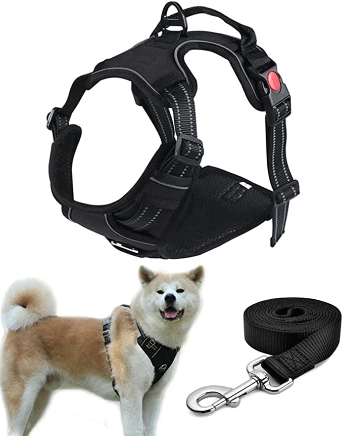 615038CD-E938-4AF9-9476-FAB88E0372D1