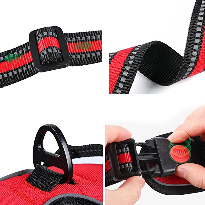 ACF1EB72-3AC8-422F-BA7E-D0A1A48E84CE